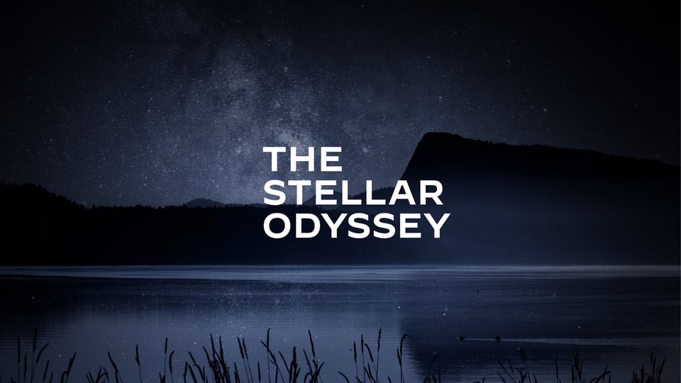 The Stellar Odyssey